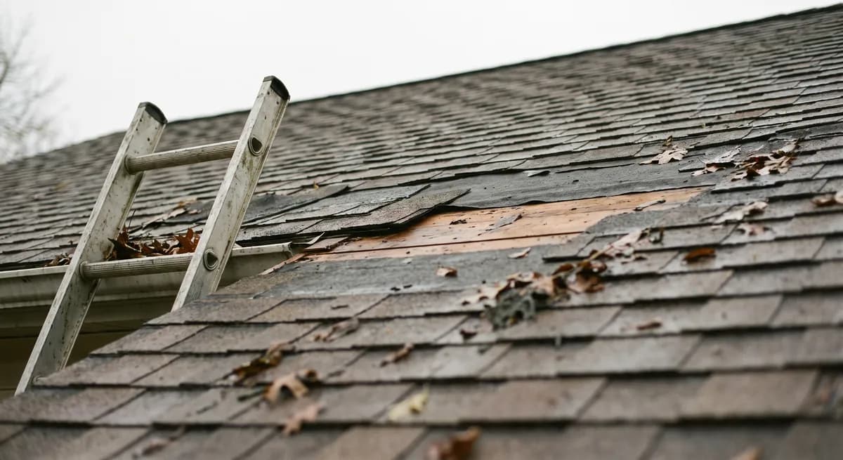 Close view of a roof with shingles torn away after a storm — the surge of storm-damage calls gets answered instead of ringing out
